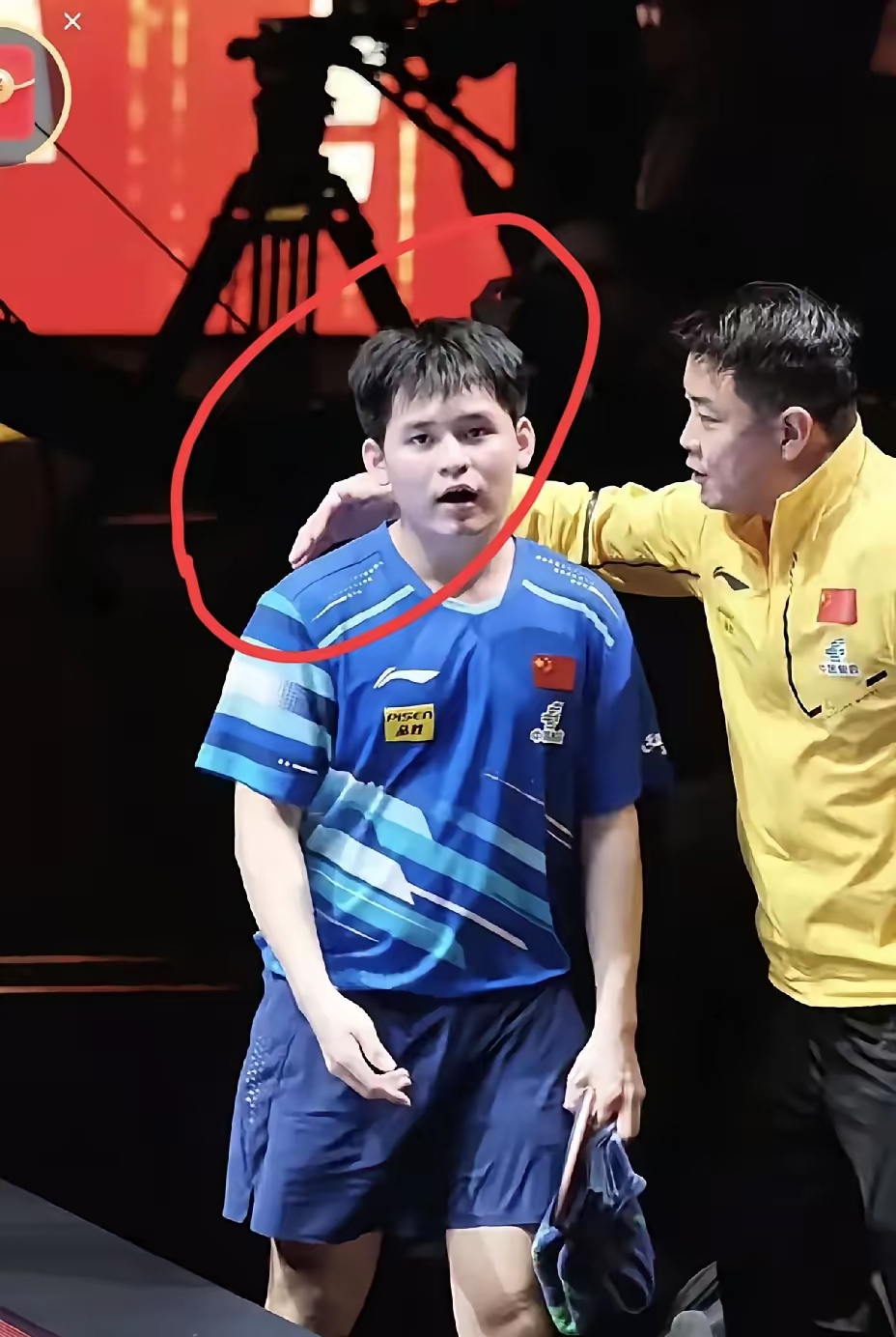 比利时乒乓球队横扫瑞典乒乓球队，王皓爆发神勇的简单介绍