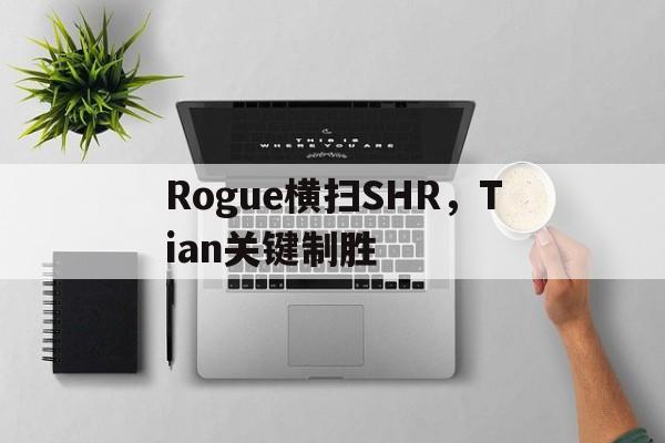 Rogue横扫SHR,Tian关键制胜 Rogue横扫SHR,Tian关键制胜