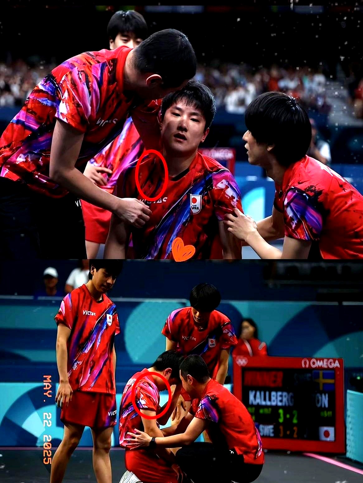 德国队翻盘奥地利队,张本智和点燃赛场的简单介绍 德国队翻盘奥地利队,张本智和点燃赛场的简单介绍