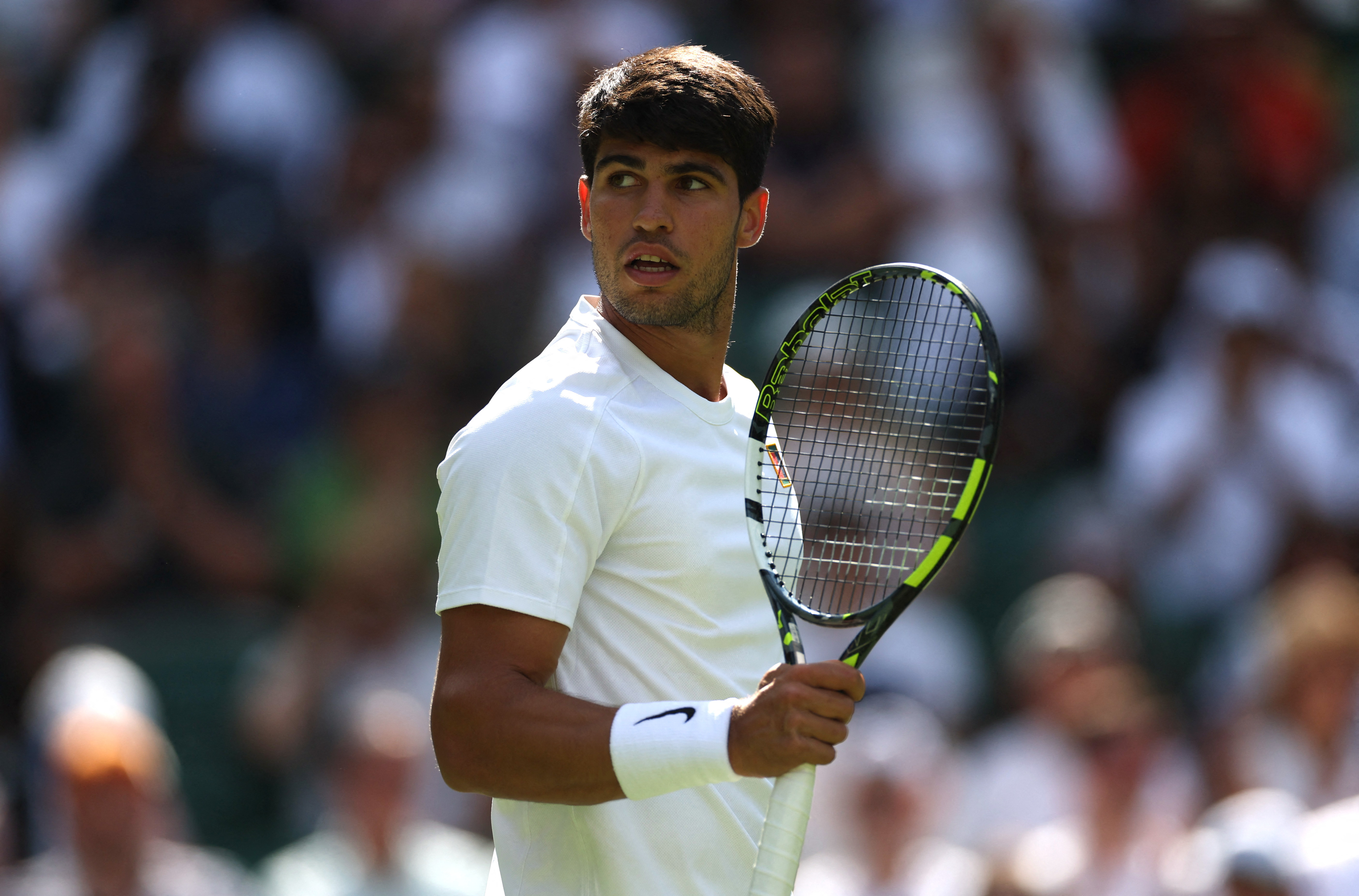 包含法网碾压温网，阿尔卡拉斯点燃赛场的词条