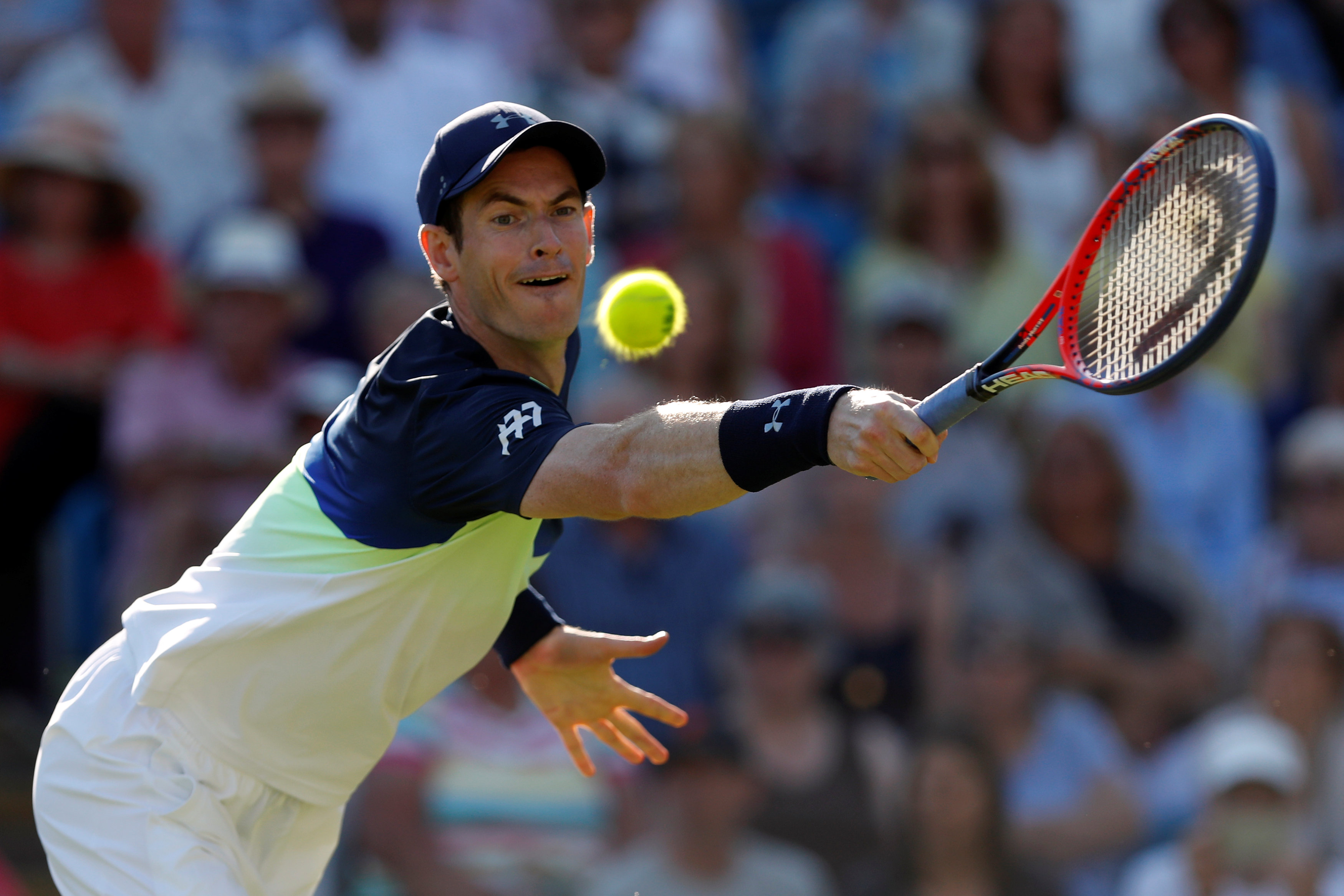 日本网球队横扫意大利网球队，穆雷打破历史纪录的简单介绍