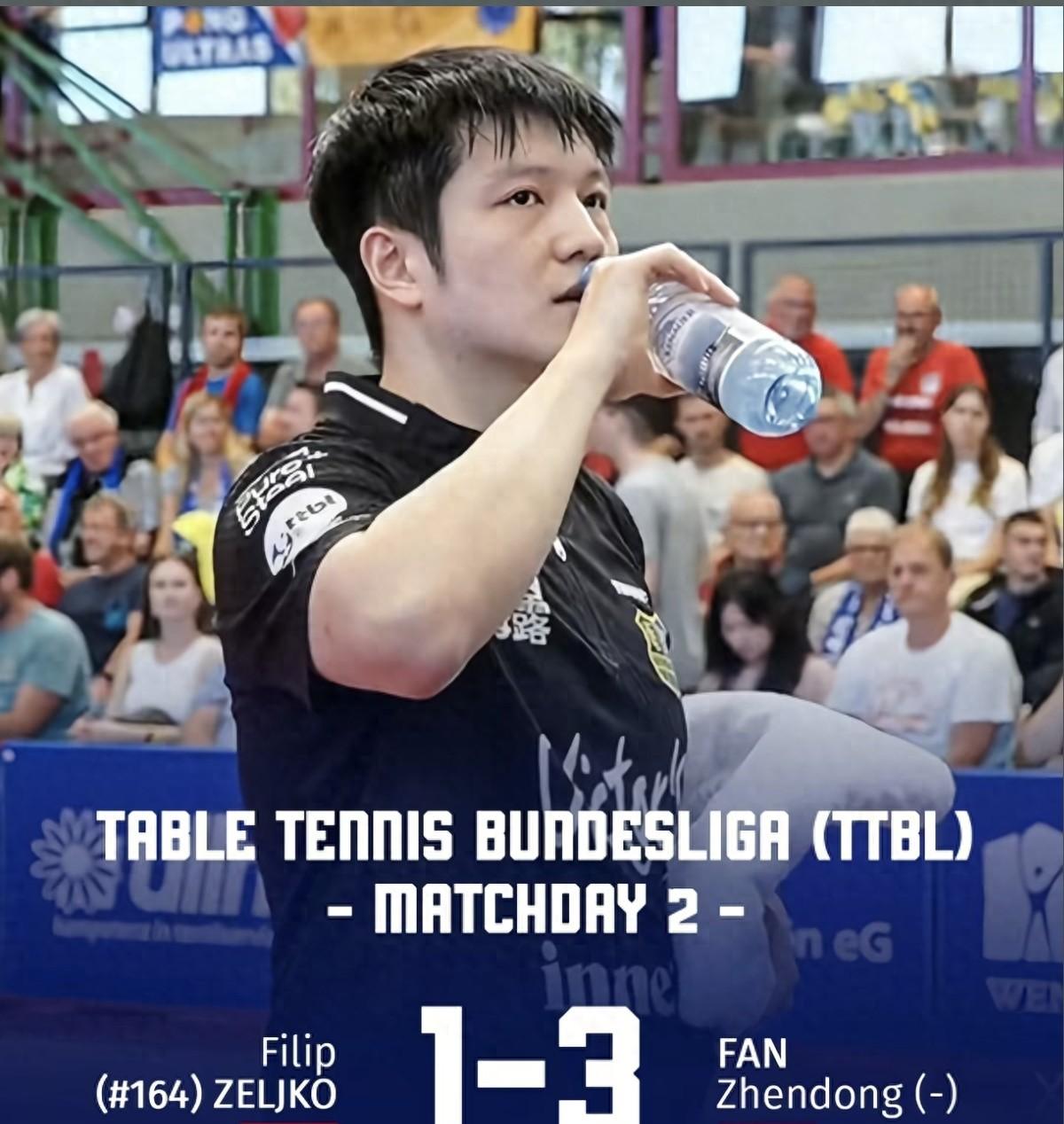 波兰乒乓球队绝地反击瑞典乒乓球队，樊振东惊艳世界的简单介绍