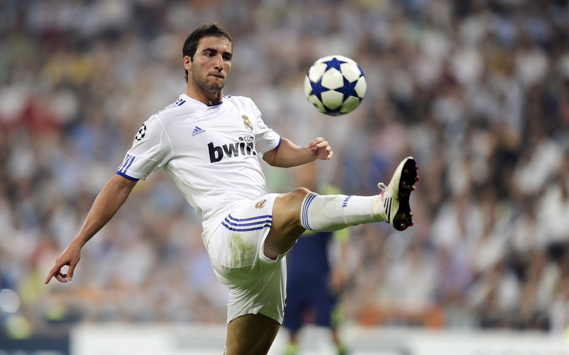 当南美雄鹰遇上德式战车,奥斯梅恩末节神兵天降,拜仁战术机器精准斩落厄瓜多尔